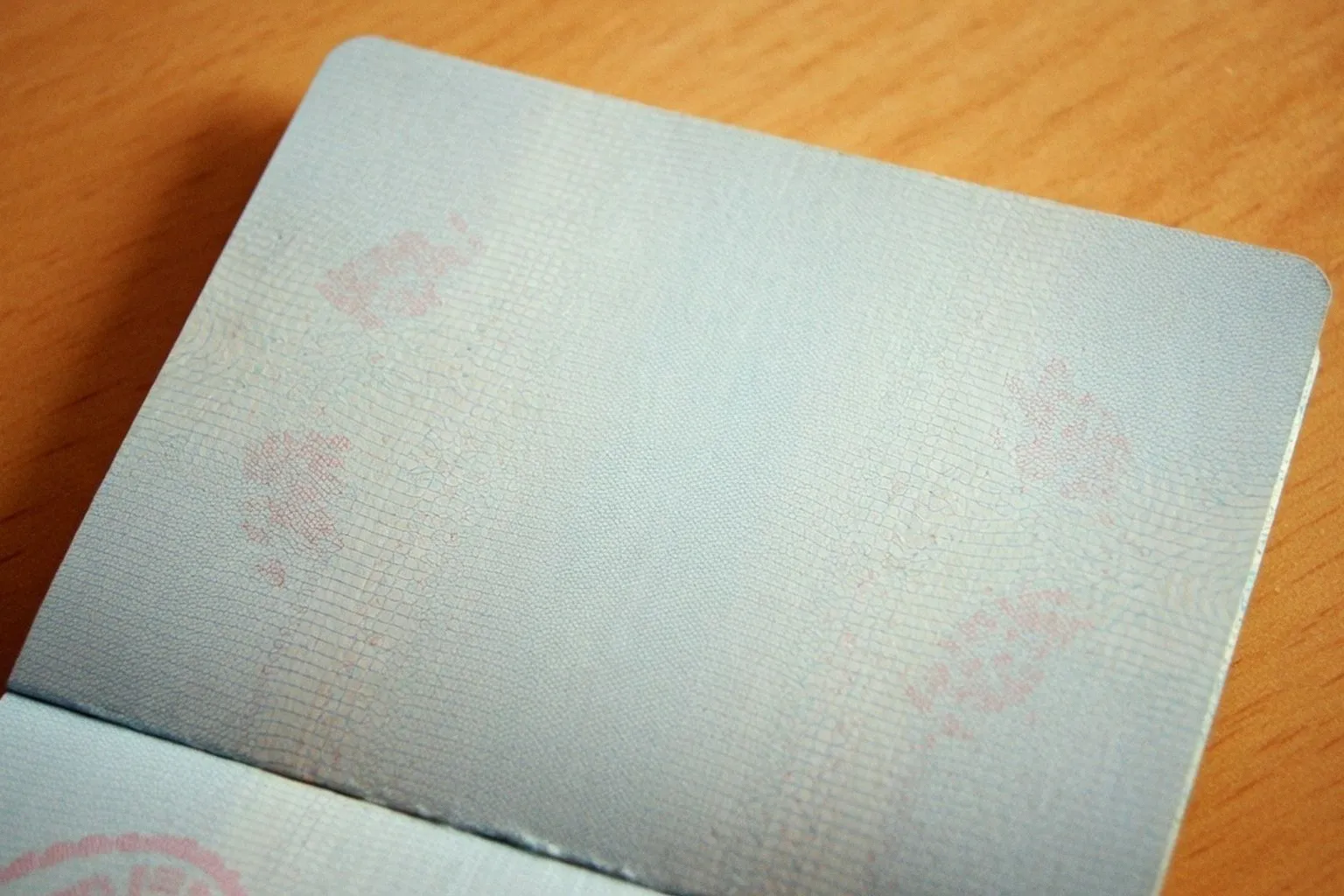 Russia and India Explore Potential Visa Fee Waivers for International Travelers