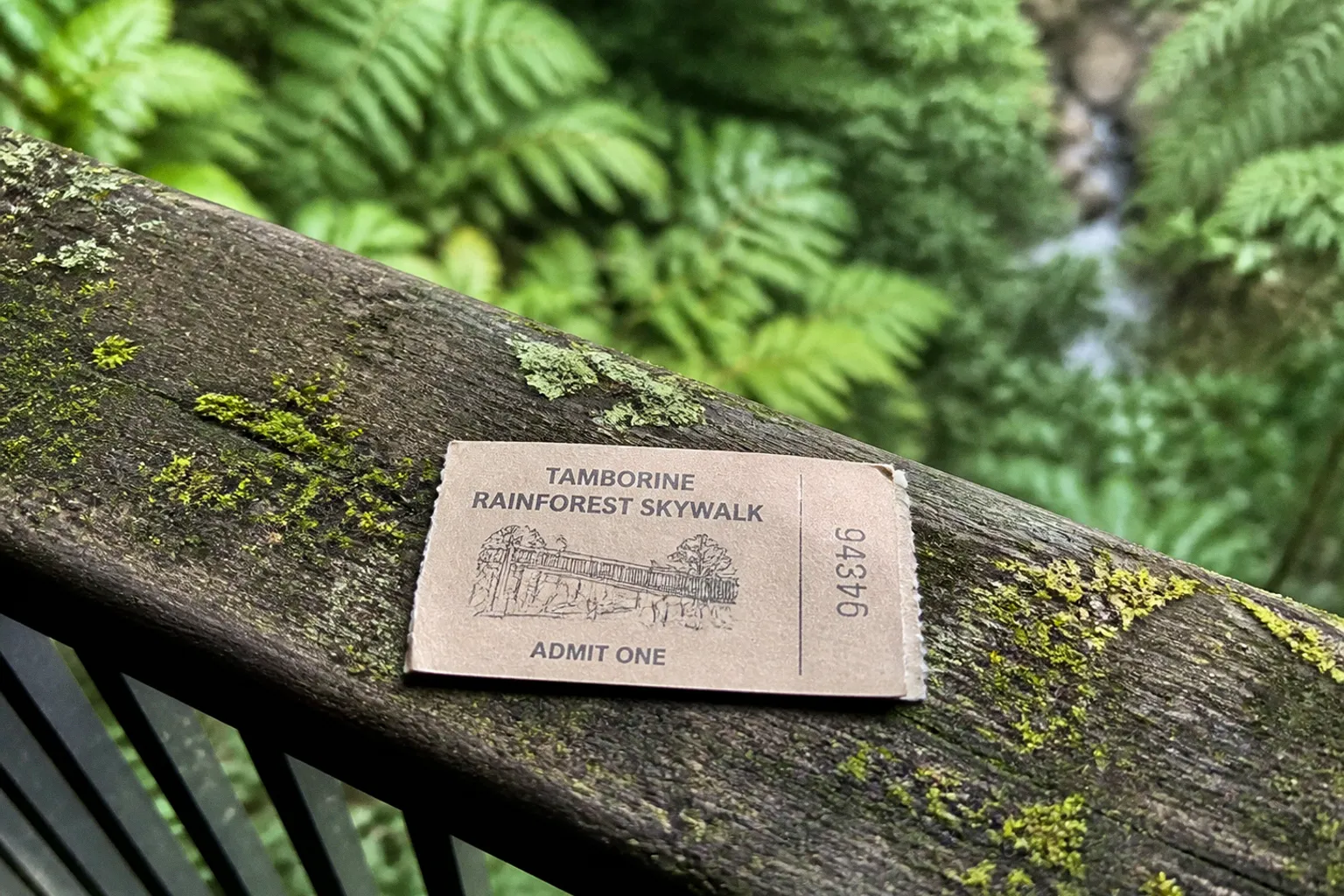 Tamborine Rainforest Skywalk Tickets: Pre-Booking Checklist